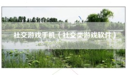 社交游戏手机（社交类游戏软件）