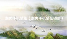 潮男手机壁纸（潮男手机壁纸锁屏）
