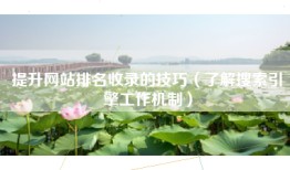 提升网站排名收录的技巧（了解搜索引擎工作机制）