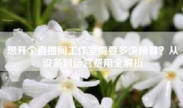 想开个直播间工作室需要多少预算？从设备到运营费用全解析