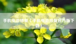 手机电池修复（手机电池修复官方版下载）