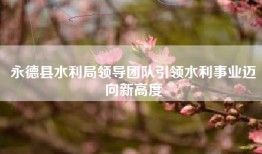 永德县水利局领导团队引领水利事业迈向新高度