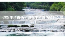 识别手机真伪（识别手机真伪输什么号码）