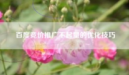 百度竞价推广不起量的优化技巧
