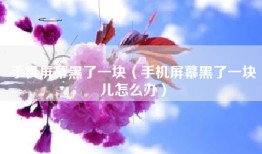 手机屏幕黑了一块（手机屏幕黑了一块儿怎么办）