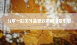 分享十款国外最受欢迎的搜索引擎