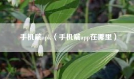 手机端apk（手机端app在哪里）