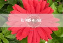如何做SEO推广