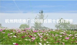 杭州网络推广公司排名前十名有哪些