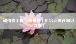 郑州修手机（郑州修手机培训班在哪可以学）