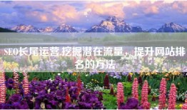 SEO长尾运营,挖掘潜在流量，提升网站排名的方法