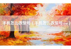 手机怎么改型号（手机怎么改型号vivo）