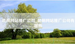 昆明网站推广公司_昆明网站推广公司有哪些