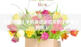手机老婆（手机老婆定位关机了还能找到呢）