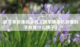 跟苹果很像的手机（跟苹果手机很像的手机是什么牌子）