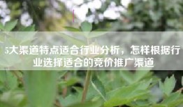5大渠道特点适合行业分析，怎样根据行业选择适合的竞价推广渠道