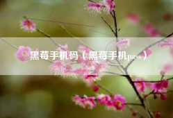 黑莓手机码（黑莓手机pass）