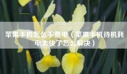 苹果手机怎么不费电（苹果手机待机耗电太快了怎么解决）