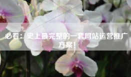 必看：史上最完整的一套网站运营推广方案！
