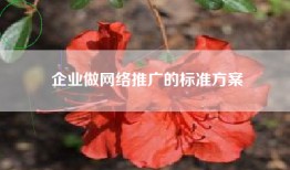 企业做网络推广的标准方案