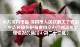 中共渭南市委 渭南市人民政府关于省第三生态环境保护督察组交办问题调查处理情况的通报（第二十二批）