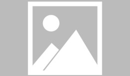 致公党金山区委与石化街道联合举办2024年参政议政工作专题培训班，致公党上海市委领导应邀作讲座