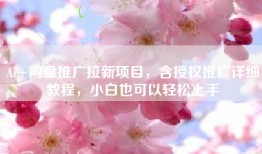 Ai+网盘推广拉新项目，含授权推广详细教程，小白也可以轻松上手