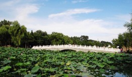 春节文体活动方案
