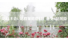 站群不会k 站群策略稳健，避免K站风险