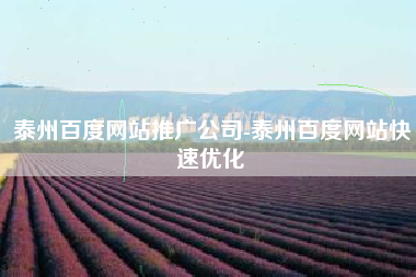 泰州百度网站推广公司-泰州百度网站快速优化
