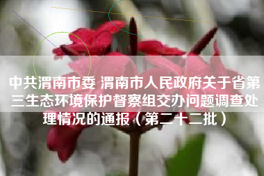 中共渭南市委 渭南市人民政府关于省第三生态环境保护督察组交办问题调查处理情况的通报（第二十二批）