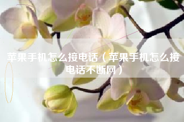 苹果手机怎么接电话（苹果手机怎么接电话不断网）