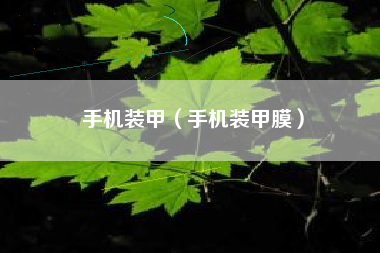 手机装甲（手机装甲膜）