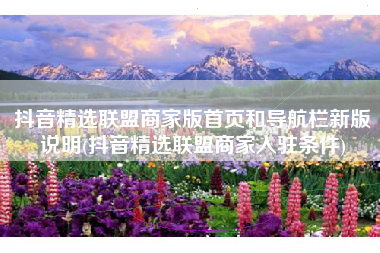 抖音精选联盟商家版首页和导航栏新版说明(抖音精选联盟商家入驻条件)