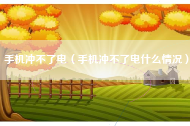 手机冲不了电（手机冲不了电什么情况）