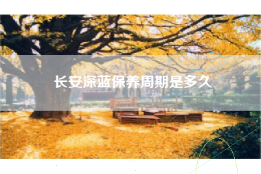 长安深蓝保养周期是多久