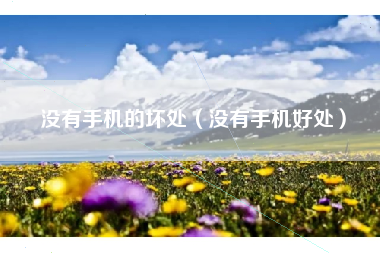 没有手机的坏处（没有手机好处）