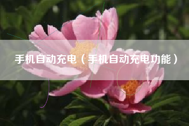 手机自动充电（手机自动充电功能）